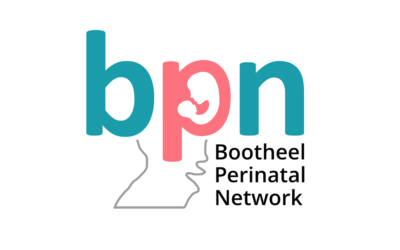 Bootheel Perinatal Network Regional Cross–sector Collaborative